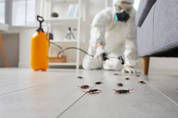Commercial Kitchen Cockroach Control in Center Point